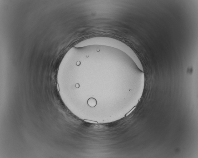 X0000110890327200907301548