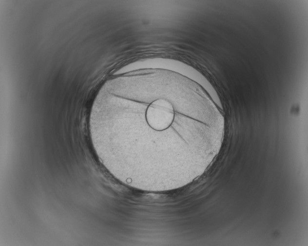 X0000110890328200907301548