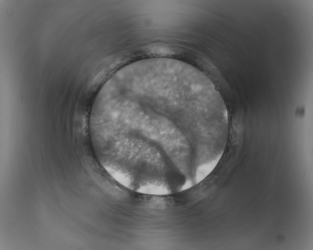 X0000110890330200907301548