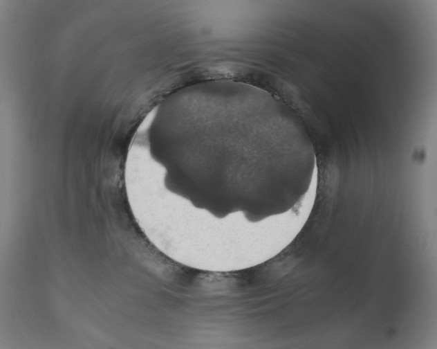 X0000110890331200907301548