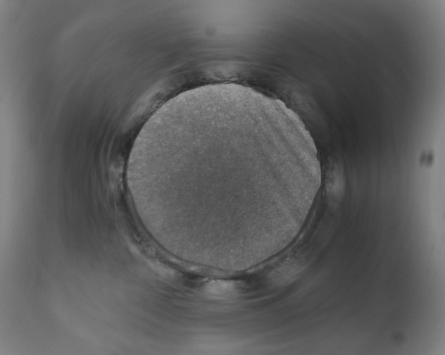 X0000110890332200907301548