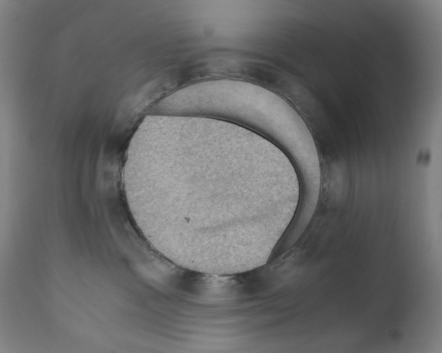 X0000110890333200907301548