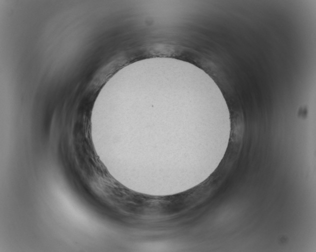 X0000110890334200907301548