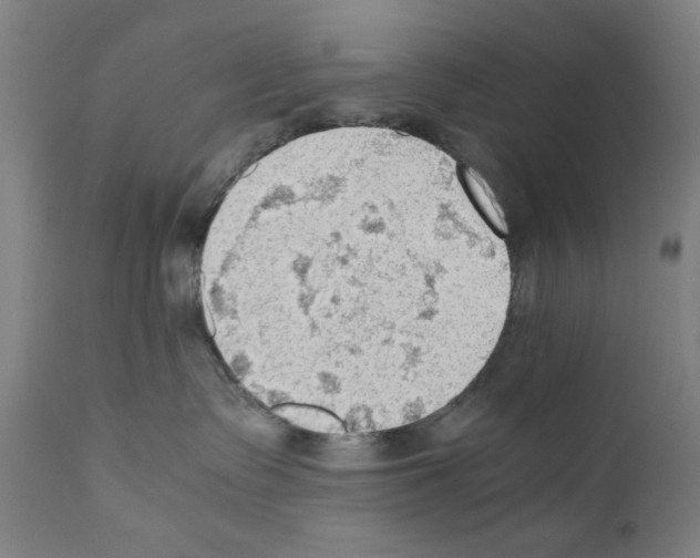 X0000110890335200907301548