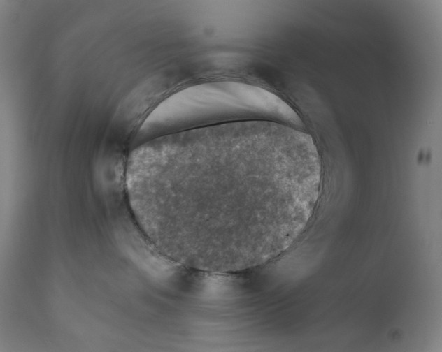 X0000110890336200907301548