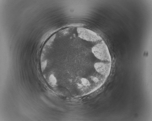 X0000110890337200907301547