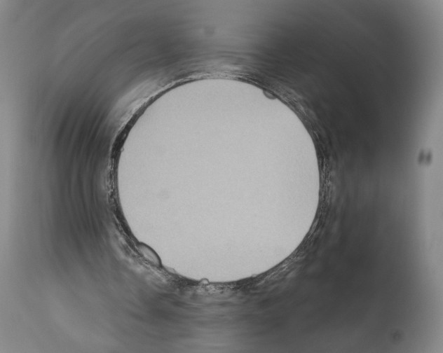 X0000110890338200907301547