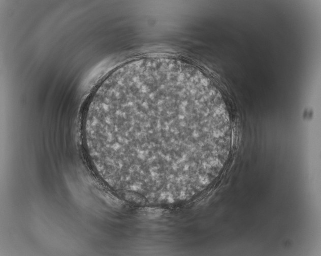 X0000110890339200907301547