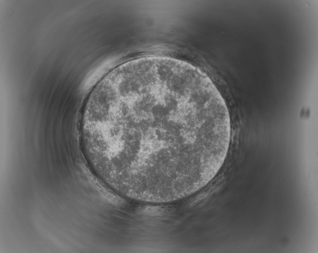 X0000110890341200907301548
