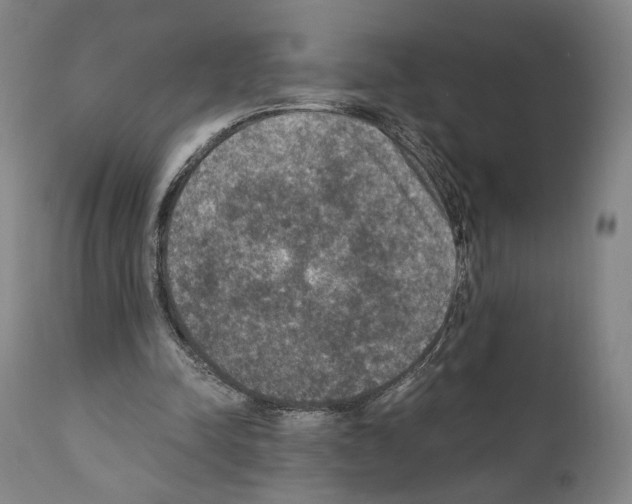 X0000110890342200907301548