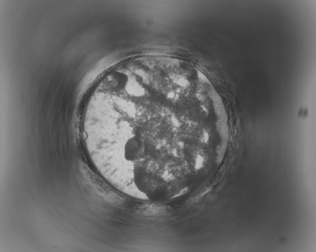 X0000110890343200907301548