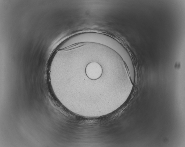 X0000110890344200907301548