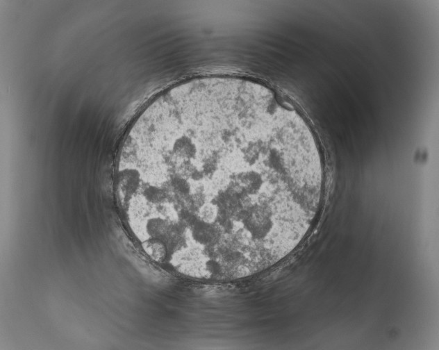 X0000110890345200907301548