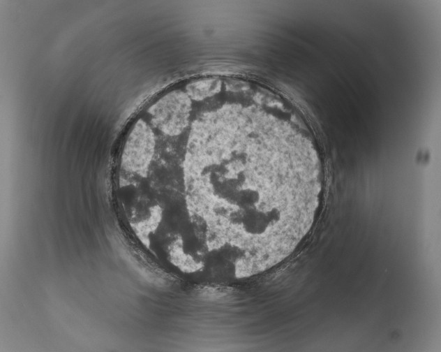 X0000110890346200907301548