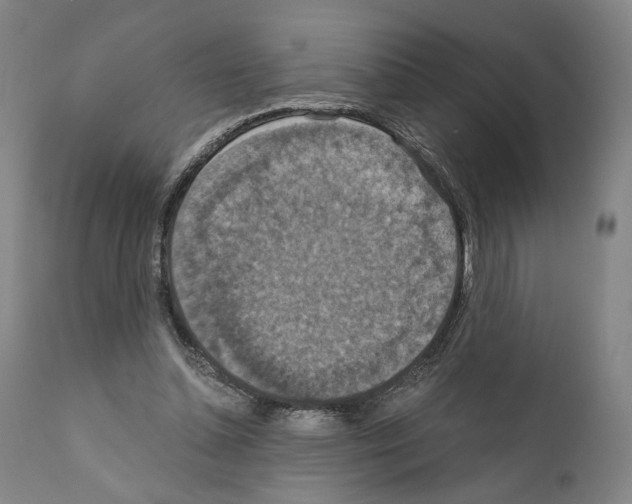 X0000110890348200907301548