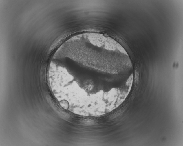 X0000110890349200907301548