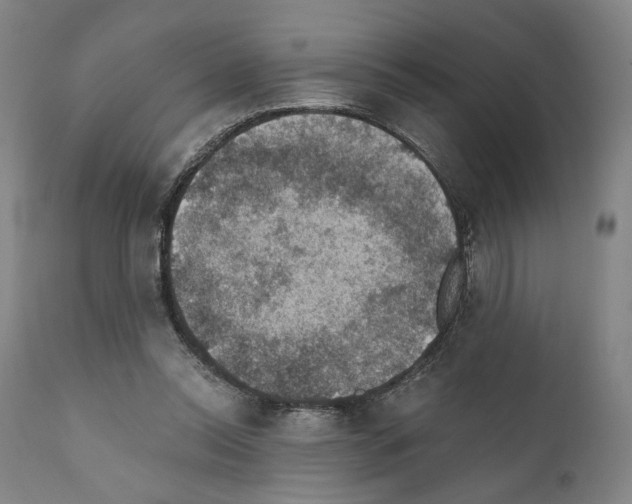X0000110890350200907301548