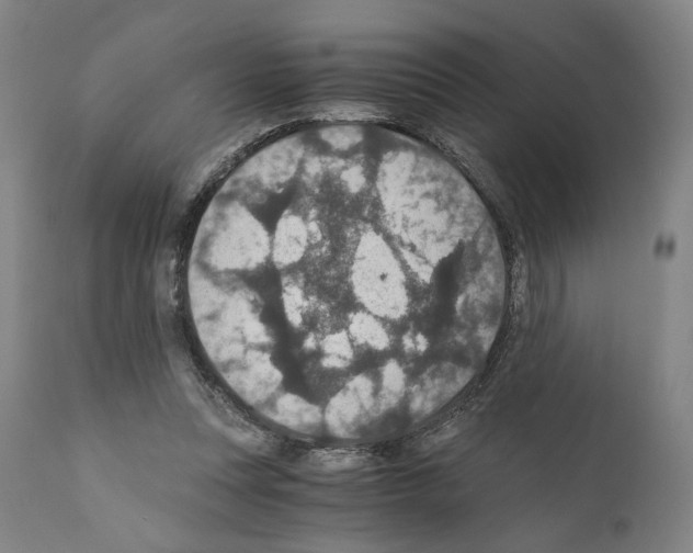 X0000110890351200907301548