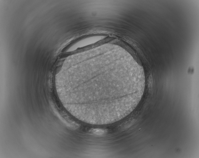 X0000110890352200907301548