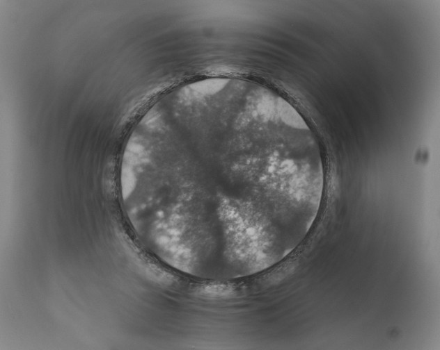 X0000110890353200907301548