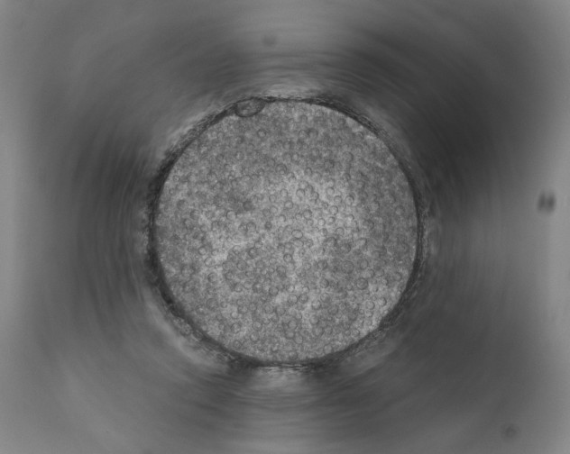X0000110890354200907301548