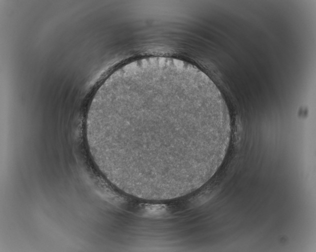 X0000110890355200907301548