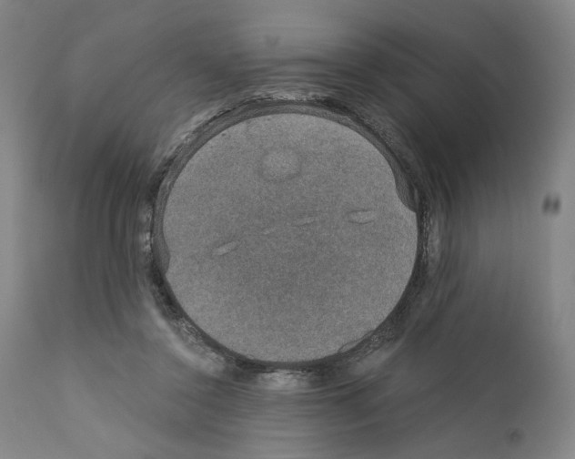 X0000110890356200907301548