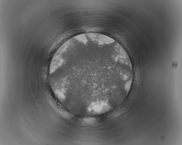 X0000110890357200907301548