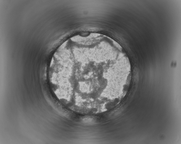 X0000110890358200907301548