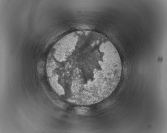 X0000110890359200907301548