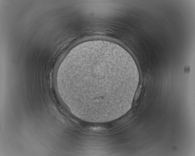 X0000110890360200907301548