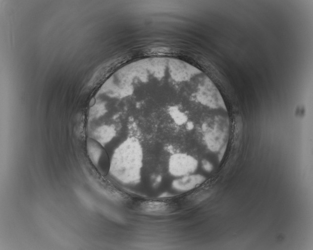 X0000110890361200907301548