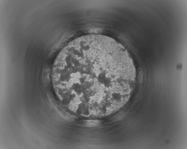 X0000110890363200907301548