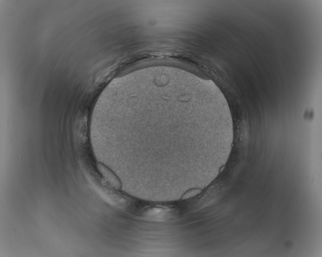 X0000110890364200907301548