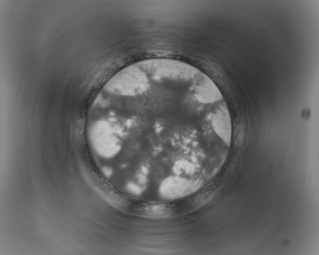 X0000110890365200907301548