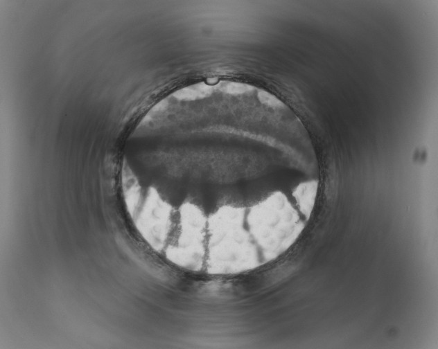 X0000110890366200907301548