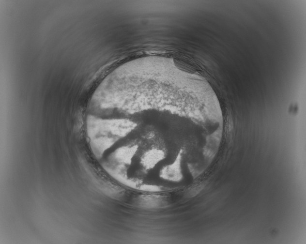 X0000110890367200907301548