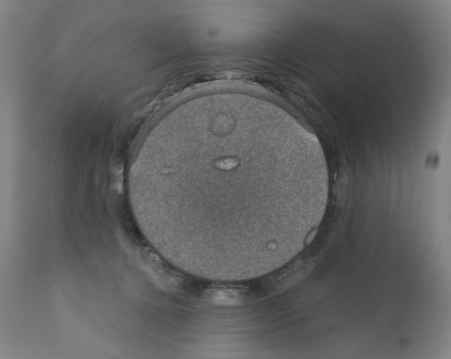 X0000110890368200907301548