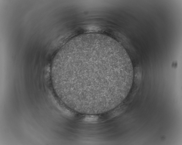 X0000110890369200907301548