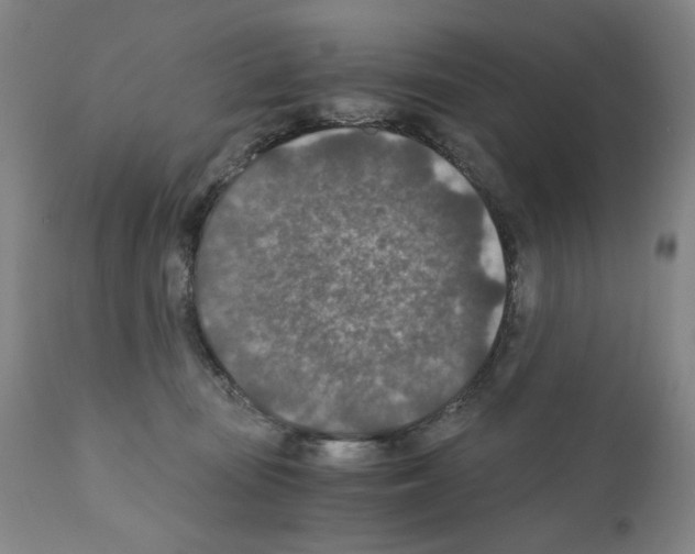 X0000110890371200907301548