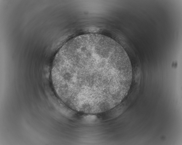 X0000110890374200907301548
