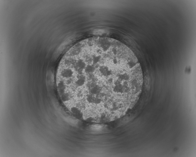 X0000110890375200907301548