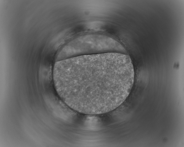X0000110890376200907301548