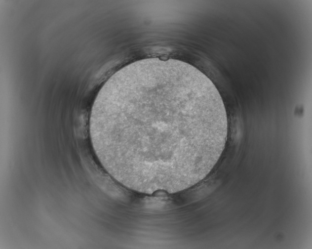 X0000110890378200907301548