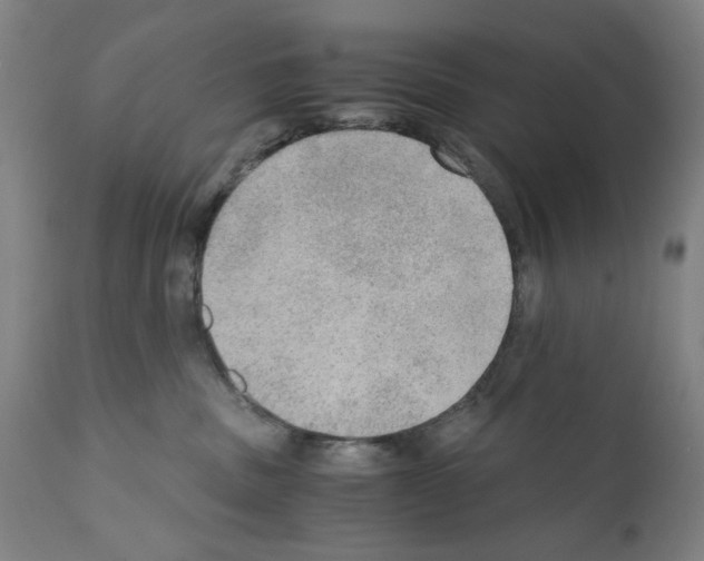 X0000110890379200907301548