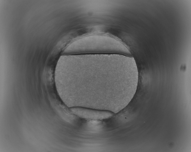 X0000110890380200907301548