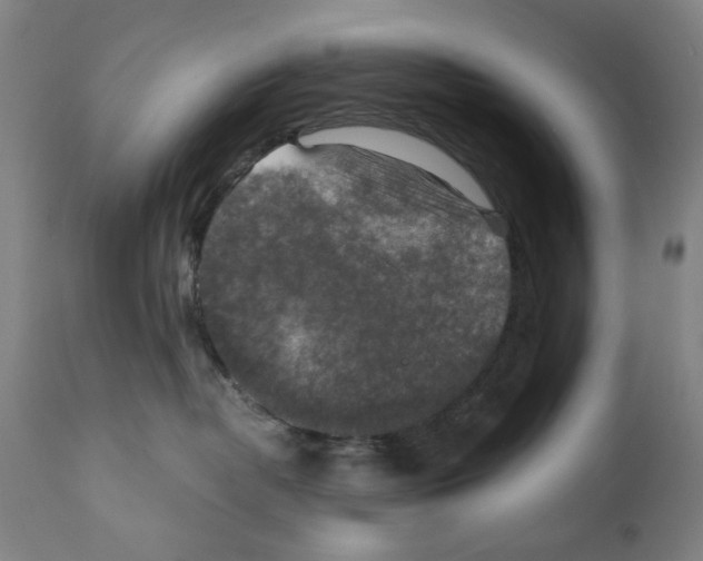 X0000110890382200907301548