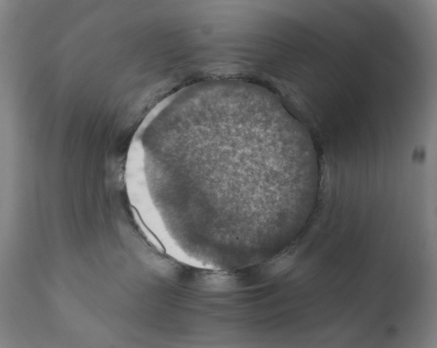 X0000110890383200907301548