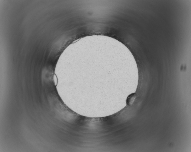 X0000110890384200907301548