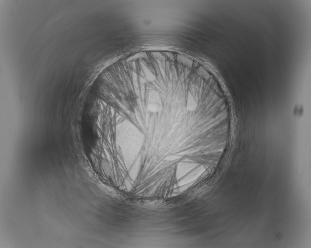 X0000110890385200907301547